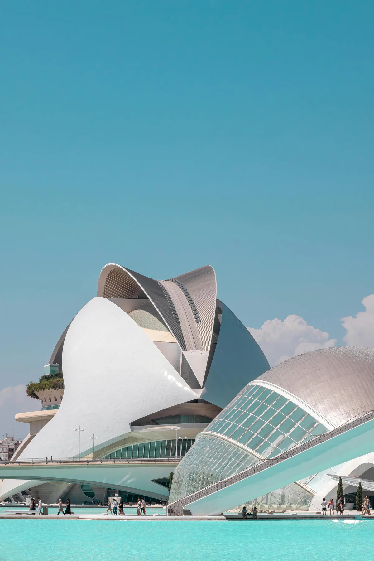 Posicionamiento web en Valencia - Ciudad de las Artes y las Ciencias